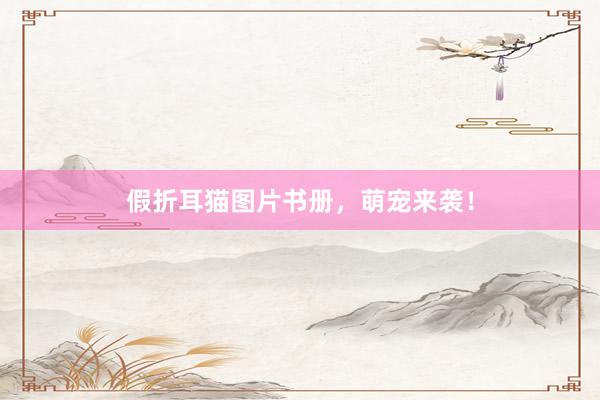 假折耳猫图片书册，萌宠来袭！